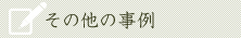 その他の事例